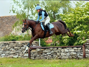 "Rianwyn Fairy Footsteps " Liver Chestnut Mare Pony Club Pony