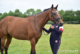 "Cece " Bay Mare All Rounder
