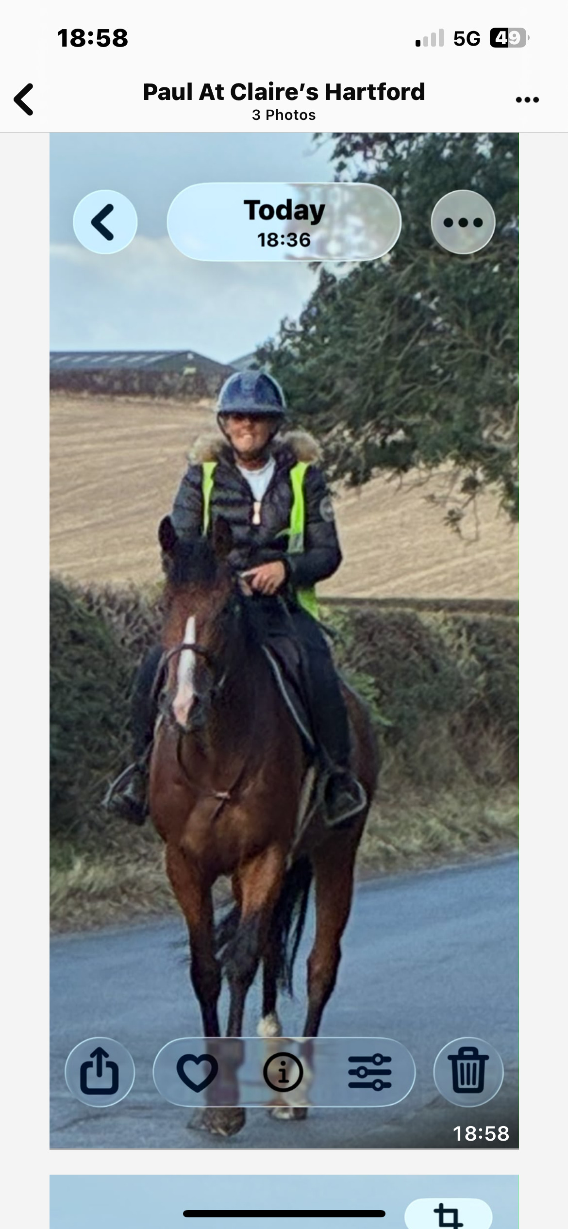 "Bobby" Bay Filly All Rounder - All Rounders 