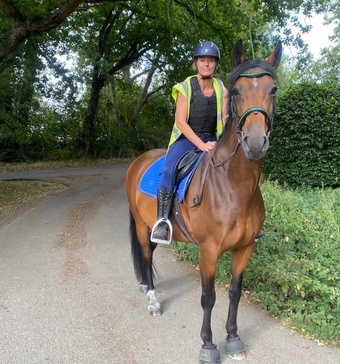 " Lovely mare seeking her person" Bay Mare All Rounder
