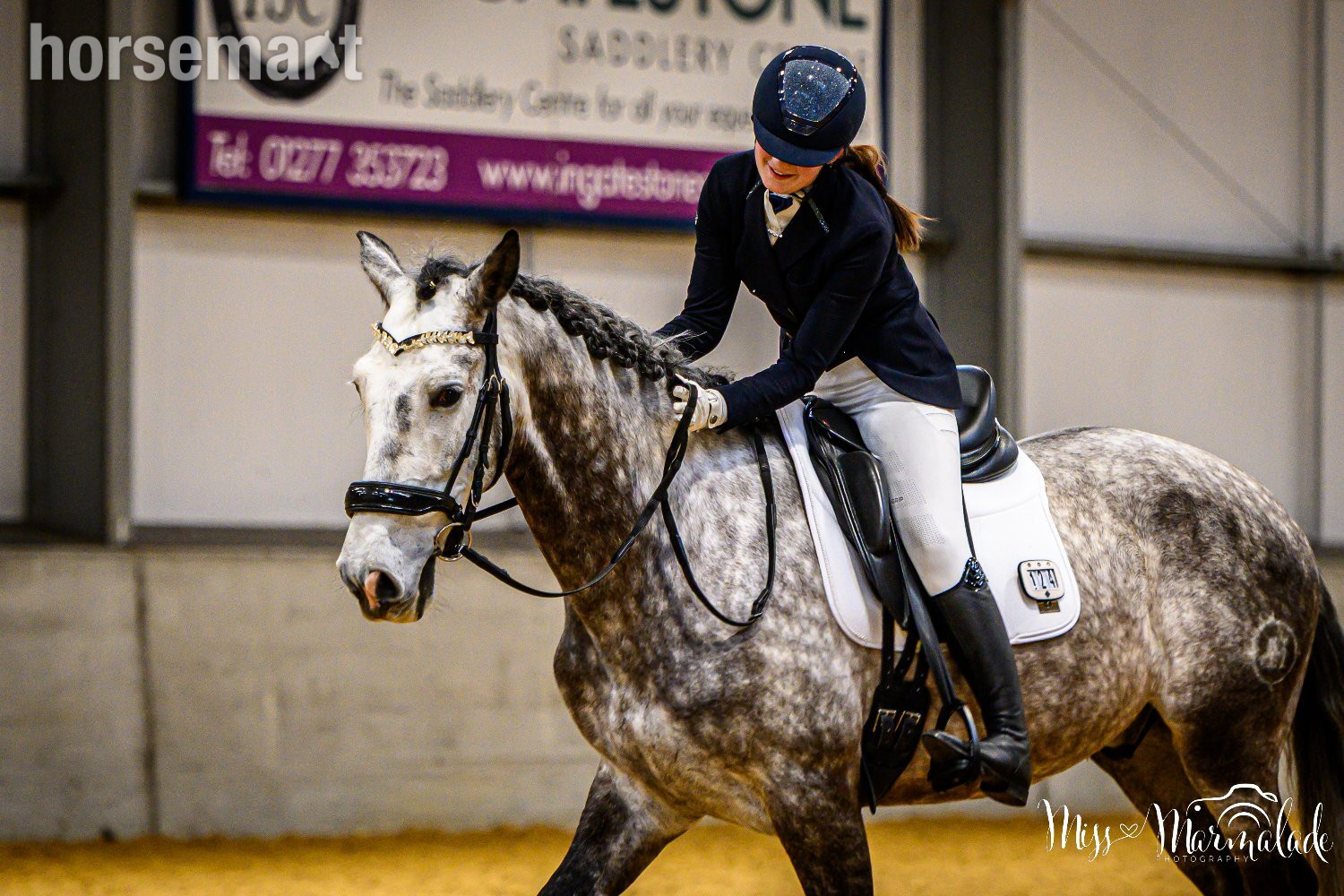"MONACO DE AIMARAN" Dapple Grey Gelding Dressage Horse - Dressage Horses