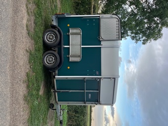 Ifor Williams 505R Horse Trailer