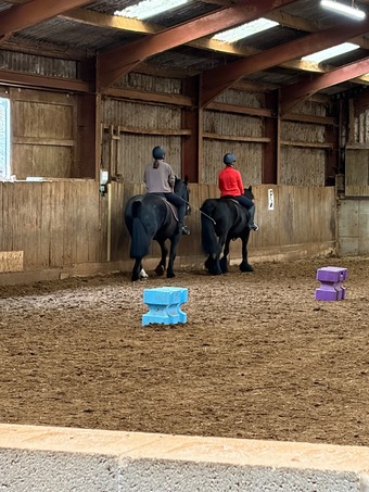 Horse wanted for part loan around 15hh