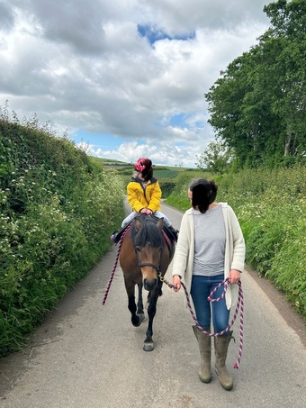 "Ffion" Bay Mare Companion Horse