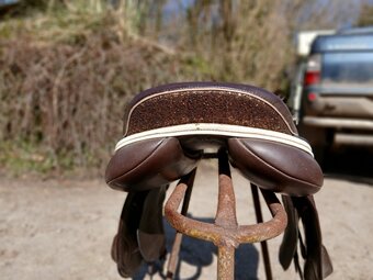 Lovely amz saddle