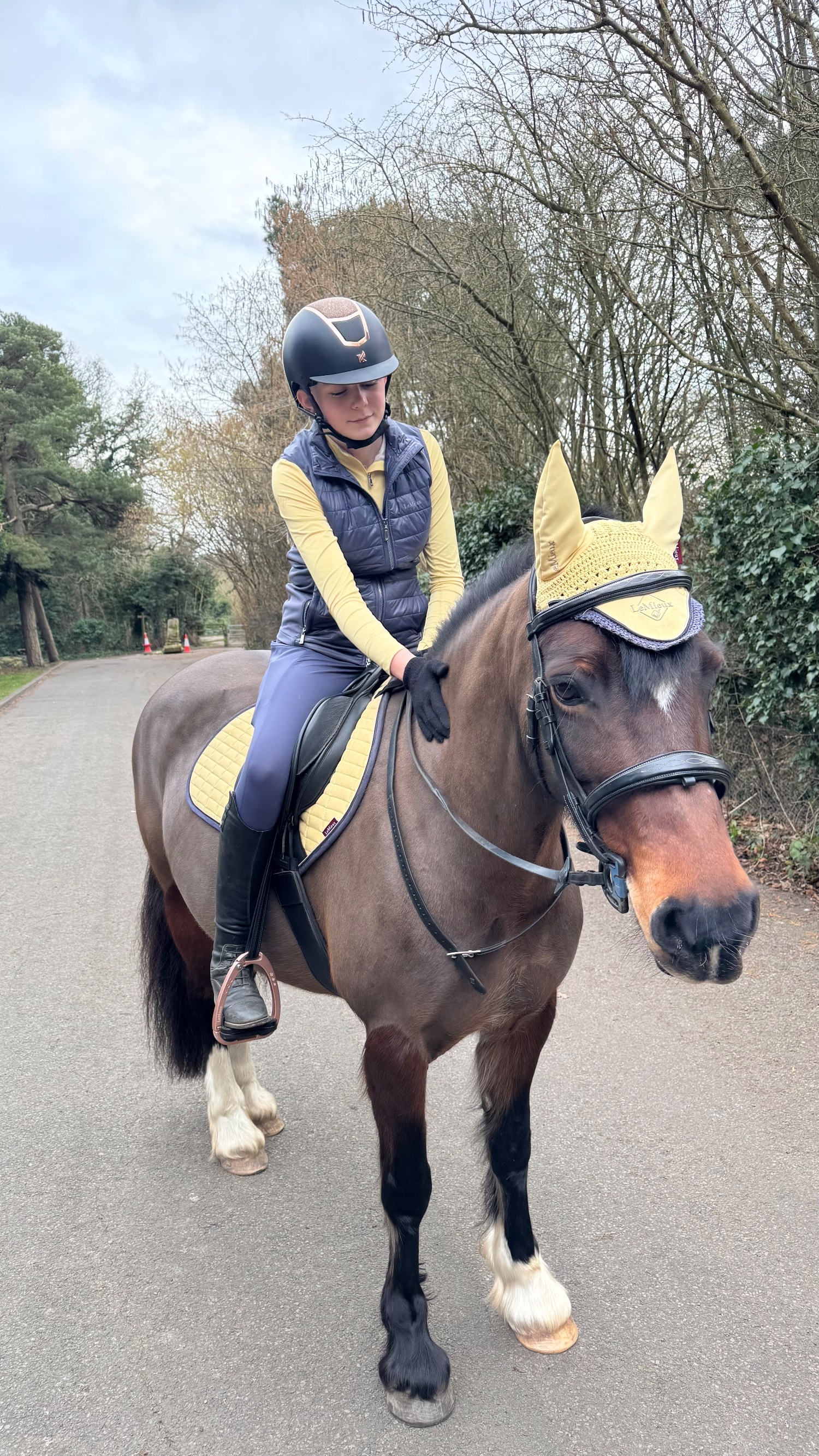 All Rounders  - "Seren-Mai" Bay Mare All Rounder