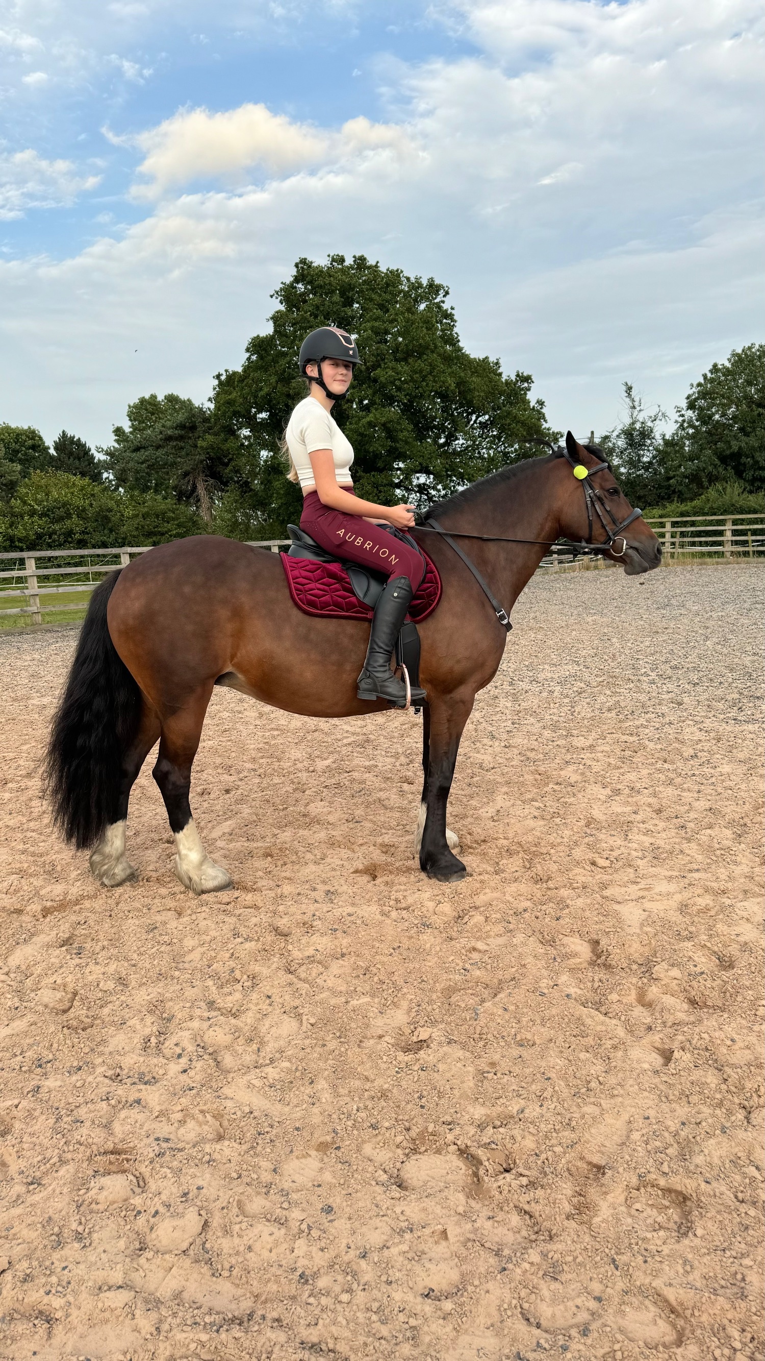 "Seren-Mai" Bay Mare All Rounder - 