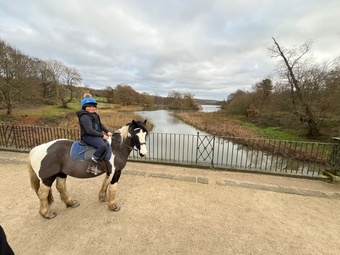 "Miss Dior ( passport name Caitlin )" Piebald Mare Cob/Heavy Horse