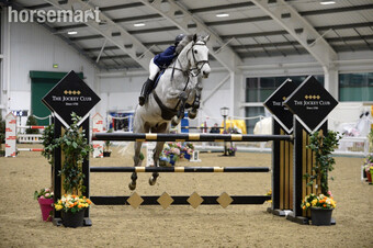 17hh Showjumper for competent rider only