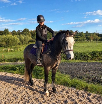 "Connemara " Mare Pony Club Pony