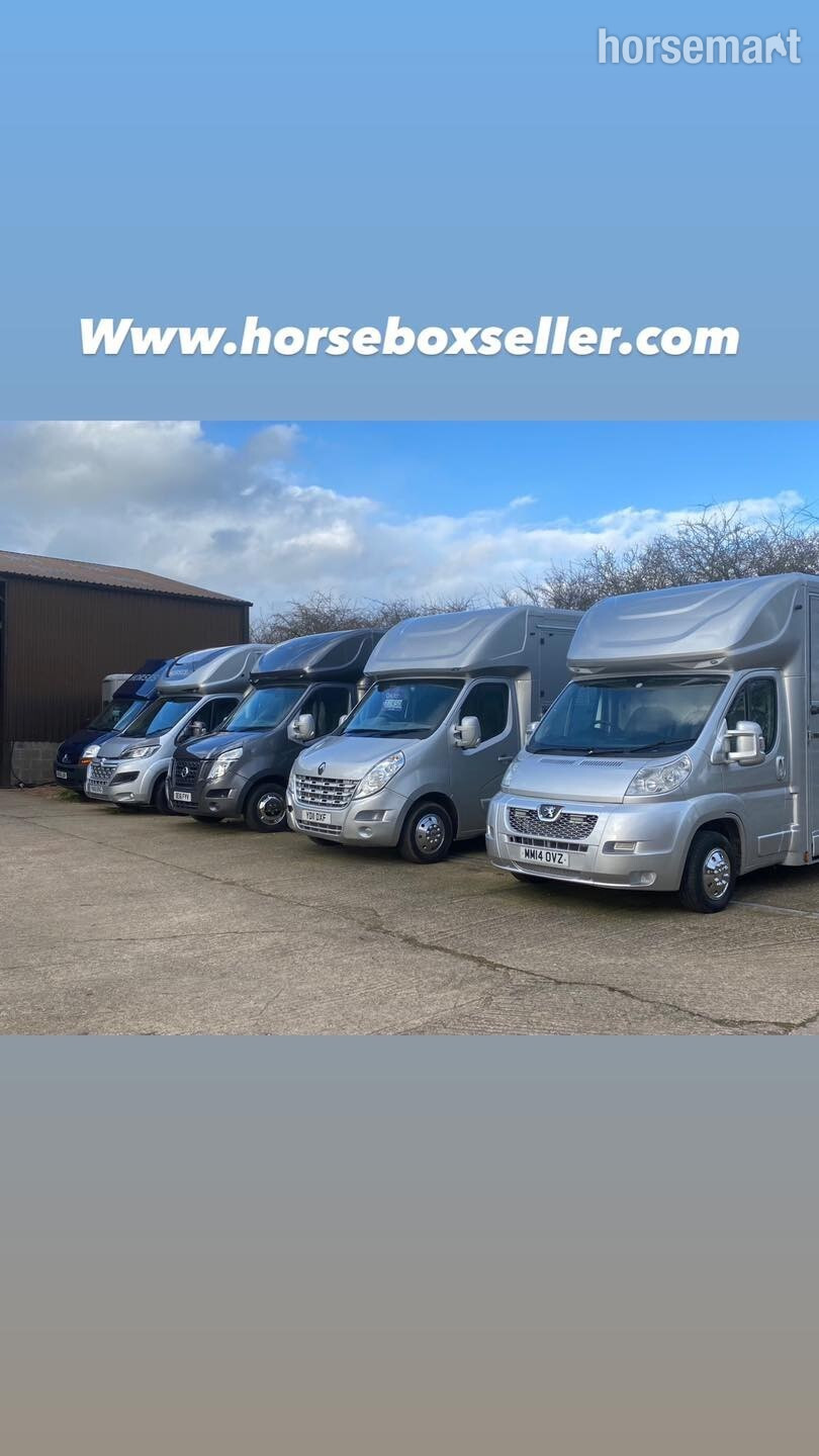  Horsebox