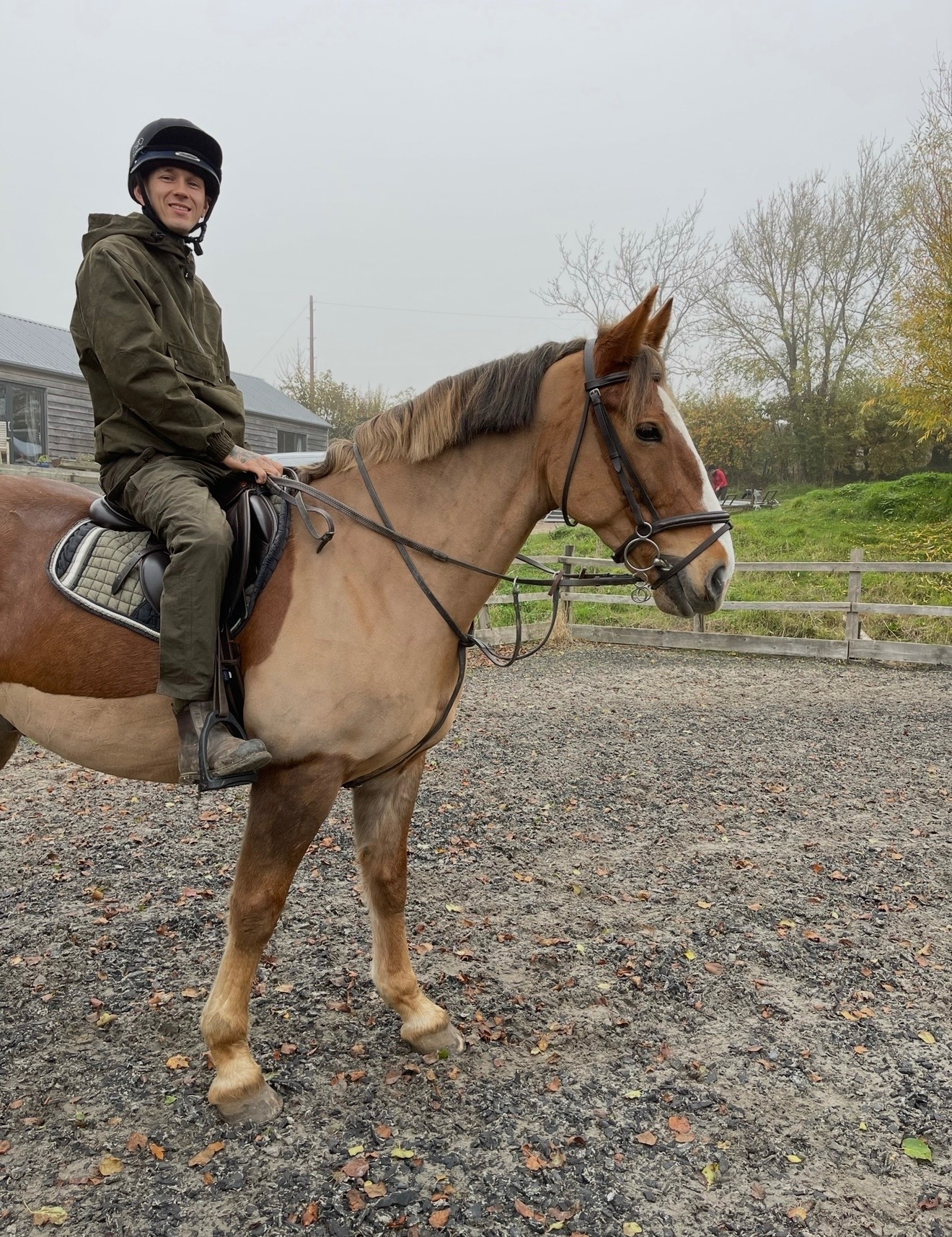 "Lambros" Chestnut Gelding All Rounder - 