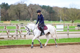 "Filo" Grey Mare Pony Club Pony