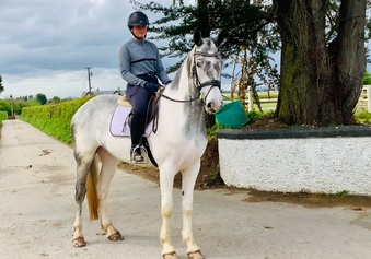 "" Mare All Rounder