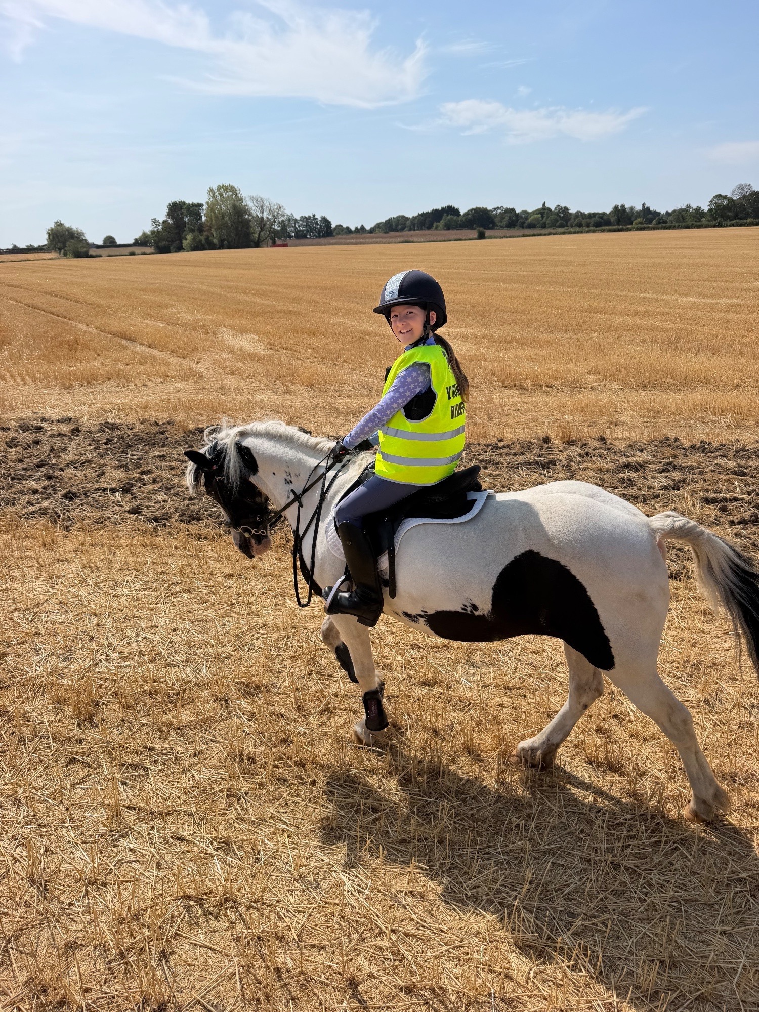 All Rounders  - "Annie" Piebald Mare All Rounder