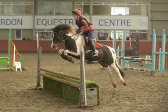 "Fiona"  Mare Pony Club Pony