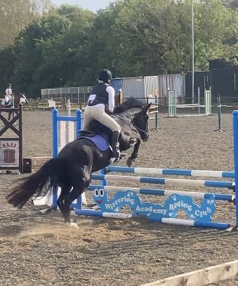 Kind sharer wanted for my 15.1 cob x mare. Not novice ride