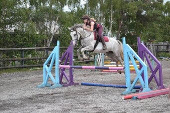 "Clover" Grey Mare All Rounder