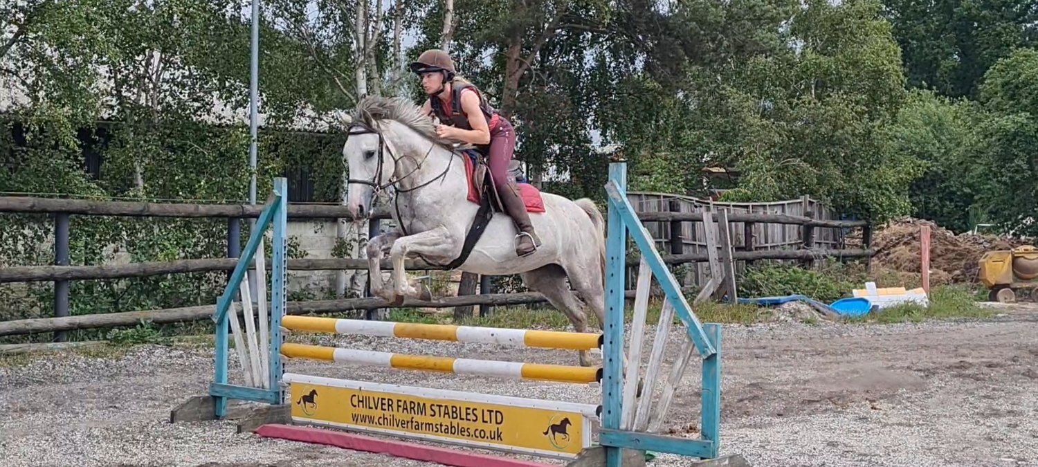 "Clover" Grey Mare All Rounder - 