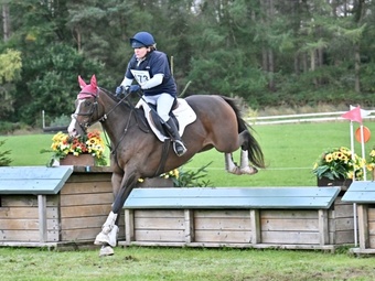 "Pleasure A Plenty " Bay Gelding Eventer