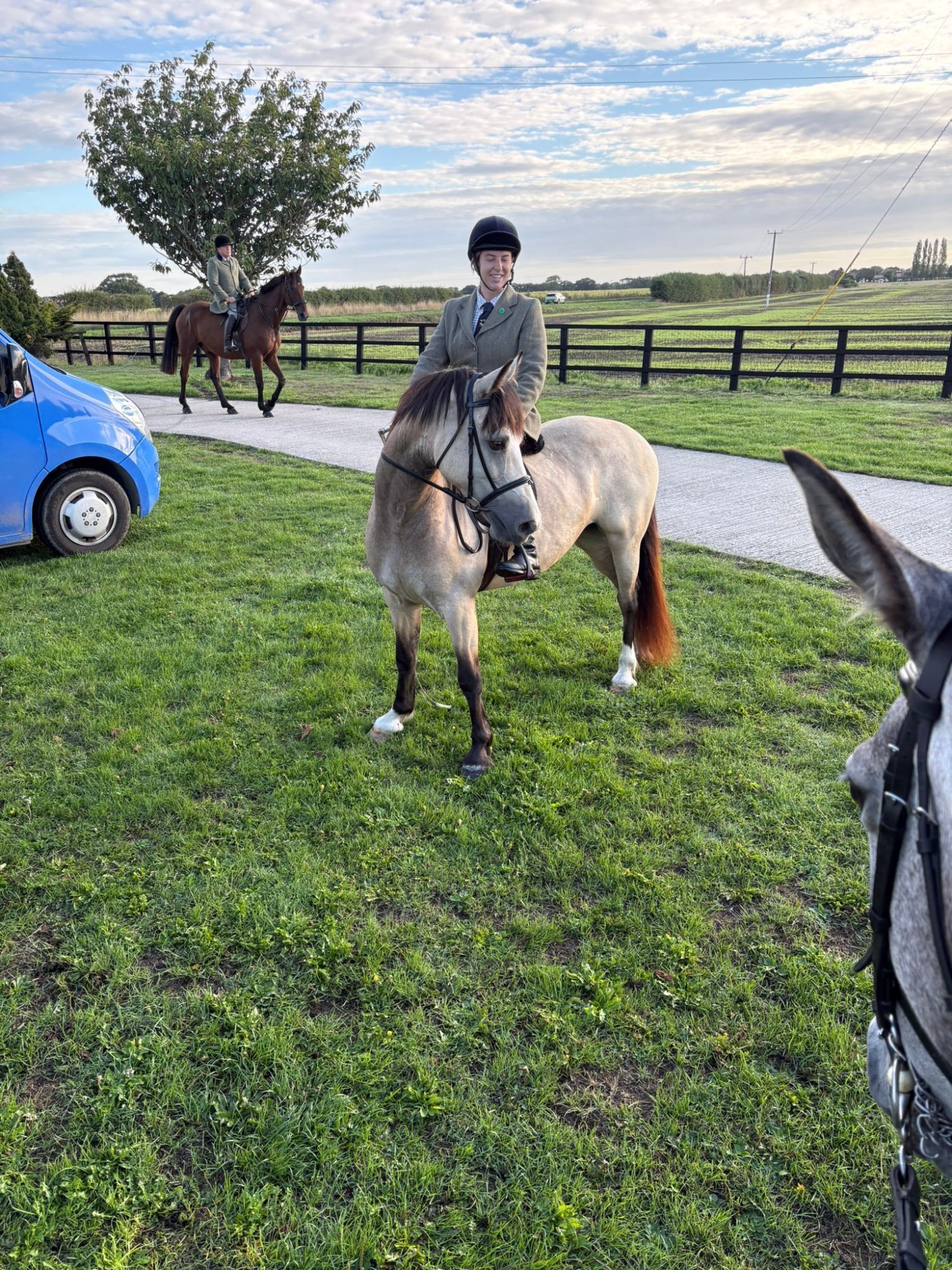  "Baily" Dun Mare All Rounder