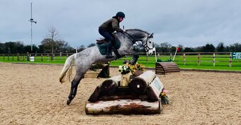 "Sally" Grey Mare All Rounder