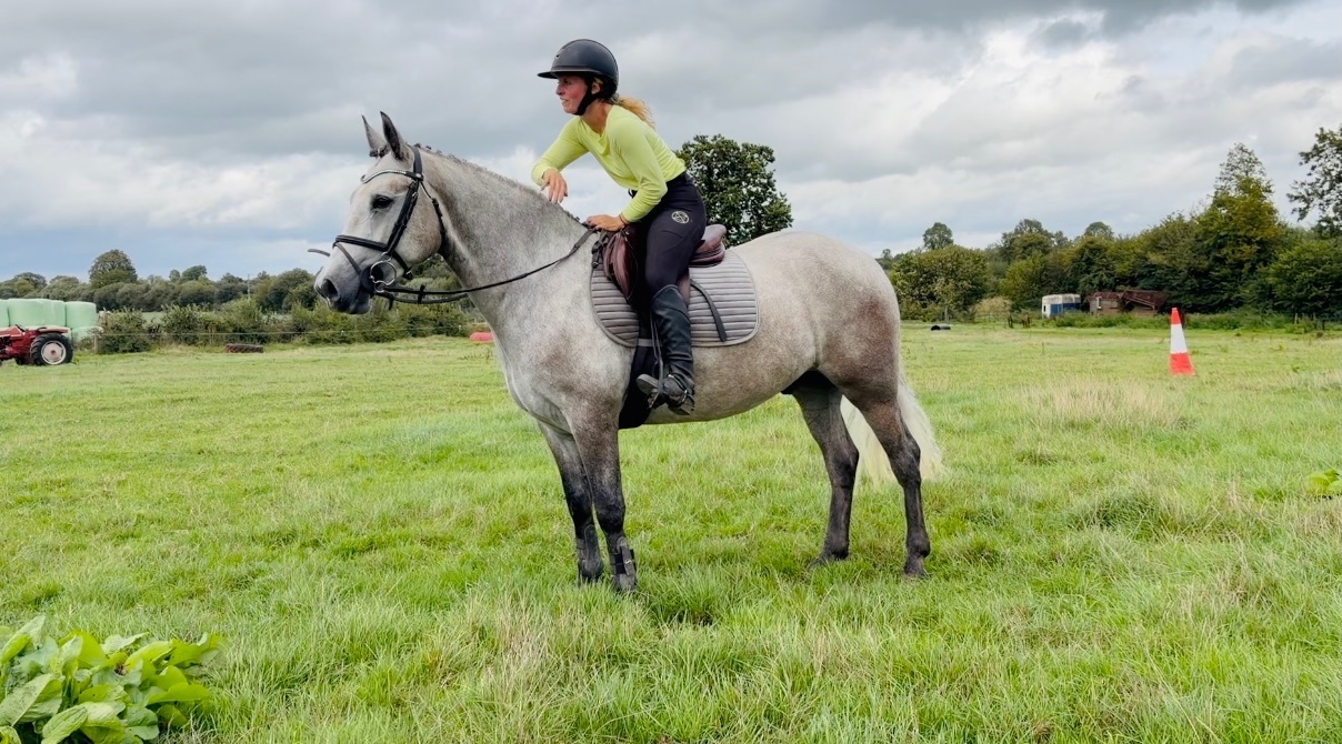 "Moonlight: smashing, scopey, forgiving & quiet allrounder" Dapple Grey Gelding All Rounder