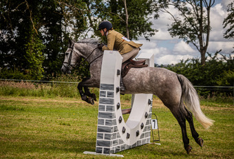 "Moonlight: smashing, scopey, forgiving & quiet allrounder" Dapple Grey Gelding All Rounder