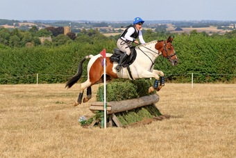 "Spirit" Skewbald Gelding All Rounder