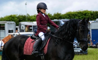 "Khaleesi" Black Mare Cob/Heavy Horse