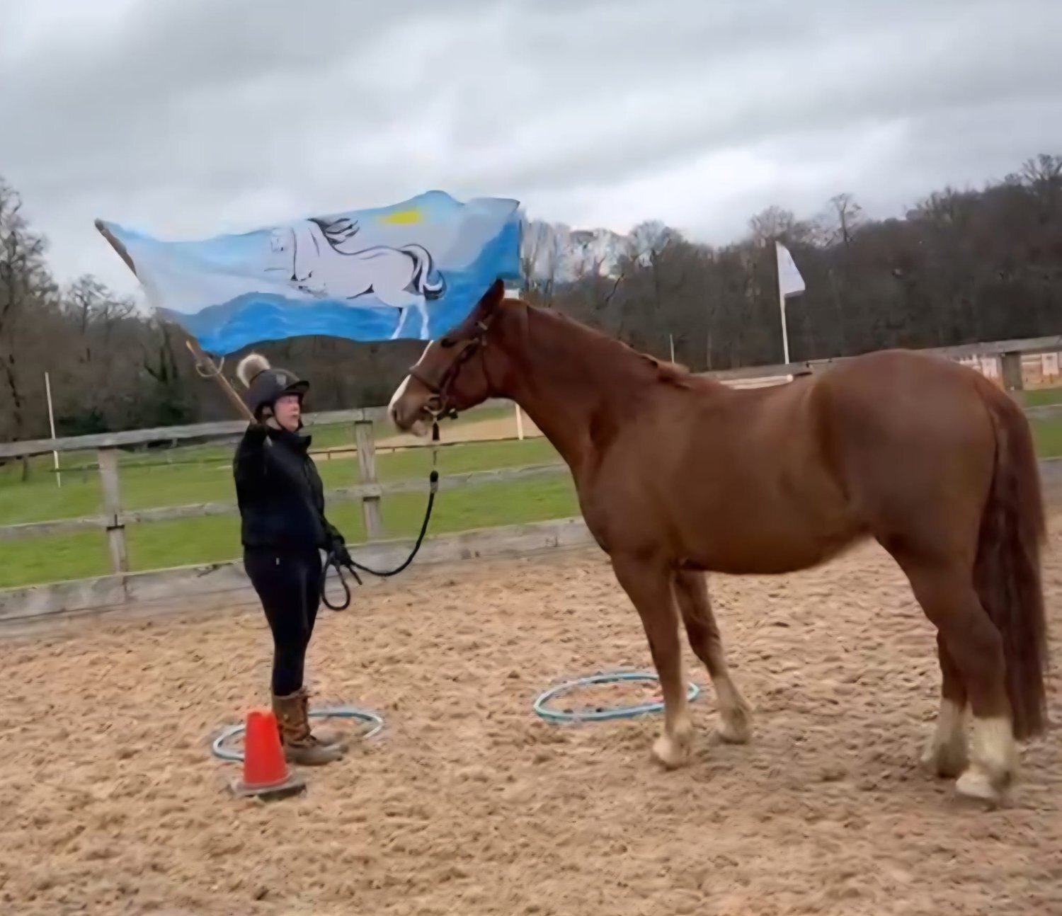 All Rounders  - "Colnevalley Utopia's Boy (Rango)" Chestnut Gelding All Rounder
