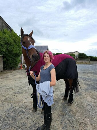 "Angel" Dark Bay Mare Ex Racehorse