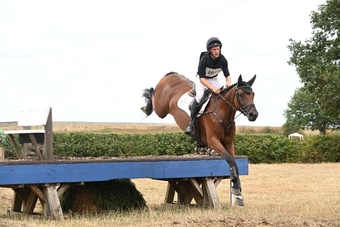 "ANNE BONNY" Bay Mare Show Jumper