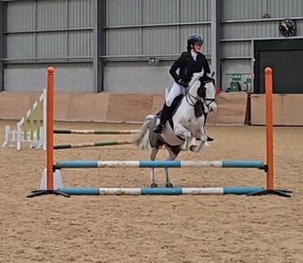 "Bonnie" Piebald Mare All Rounder