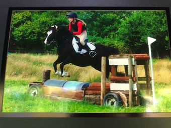 "" Black Mare All Rounder