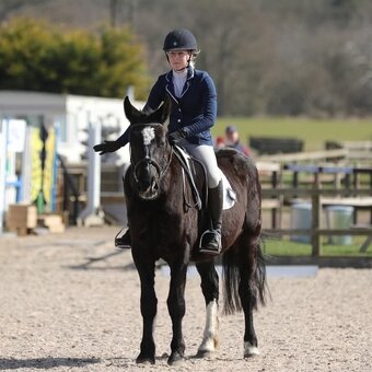 "Peaches" Black Filly All Rounder