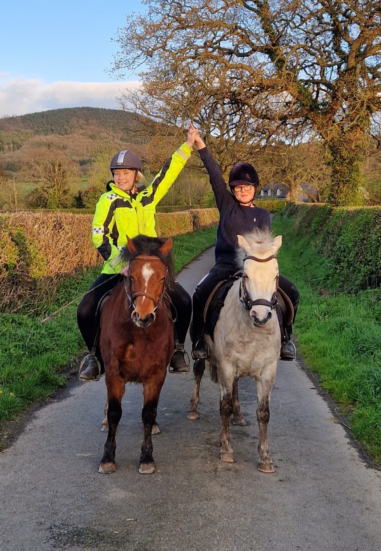 Lead Rein & First Ridden Ponies  - "Rusty" Bay Gelding Lead Rein/First Ridden Pony