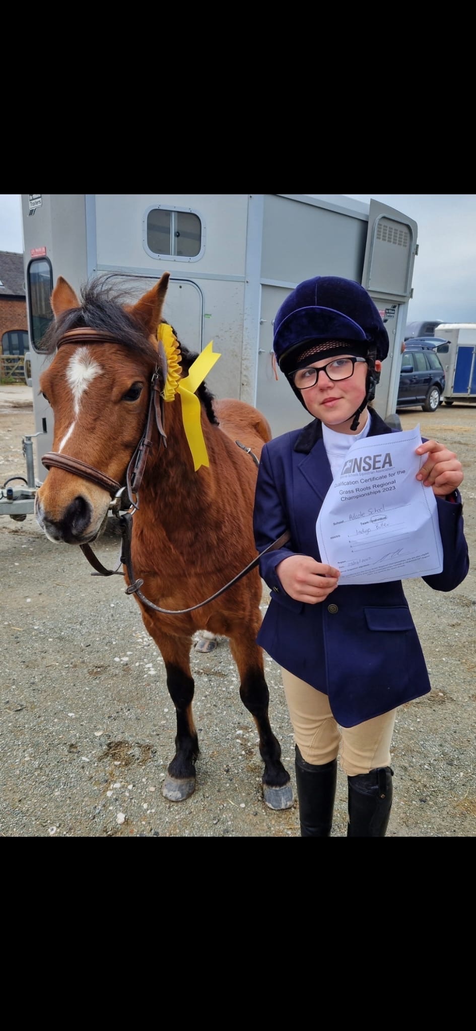 "Rusty" Bay Gelding Lead Rein/First Ridden Pony - Lead Rein & First Ridden Ponies 