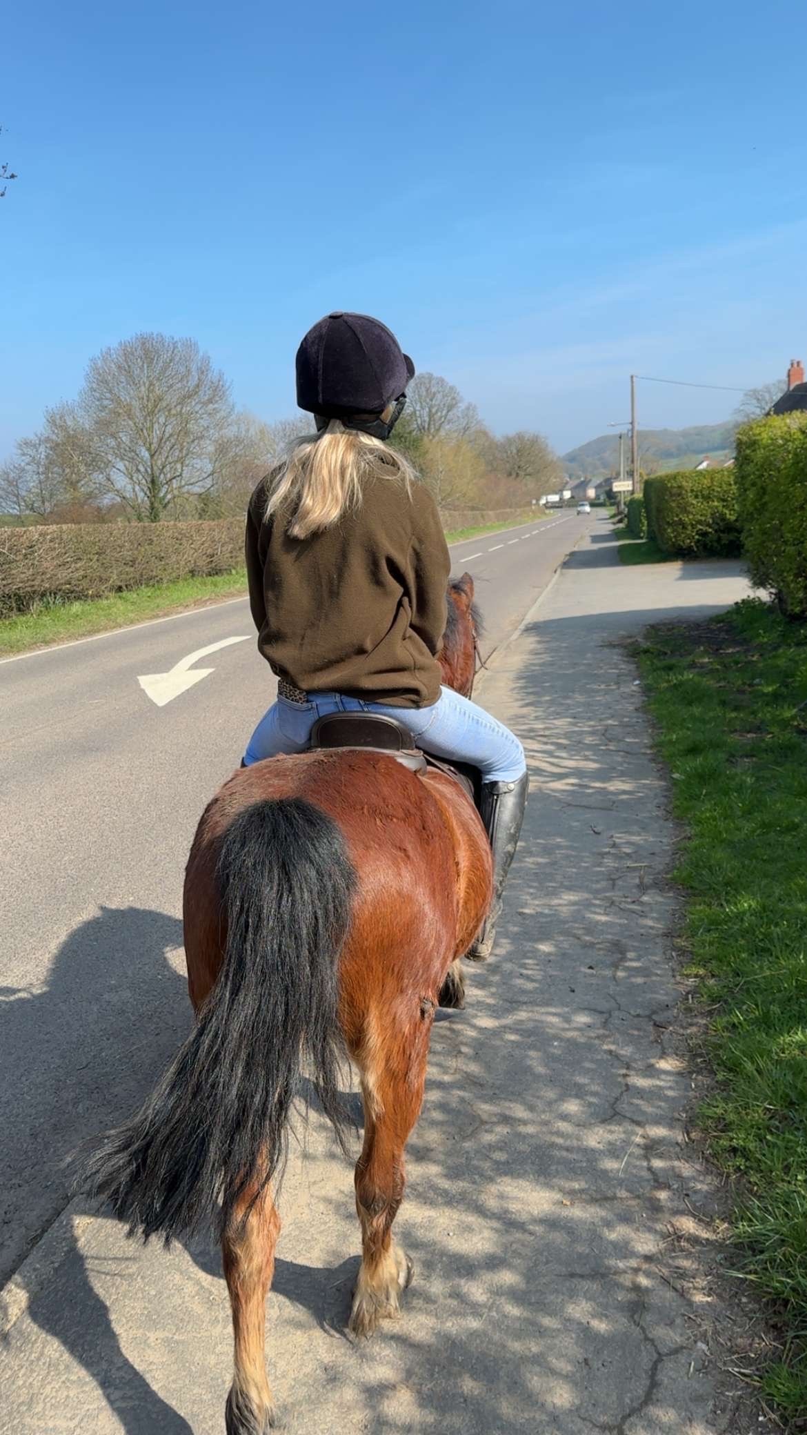 "Rusty" Bay Gelding Lead Rein/First Ridden Pony 