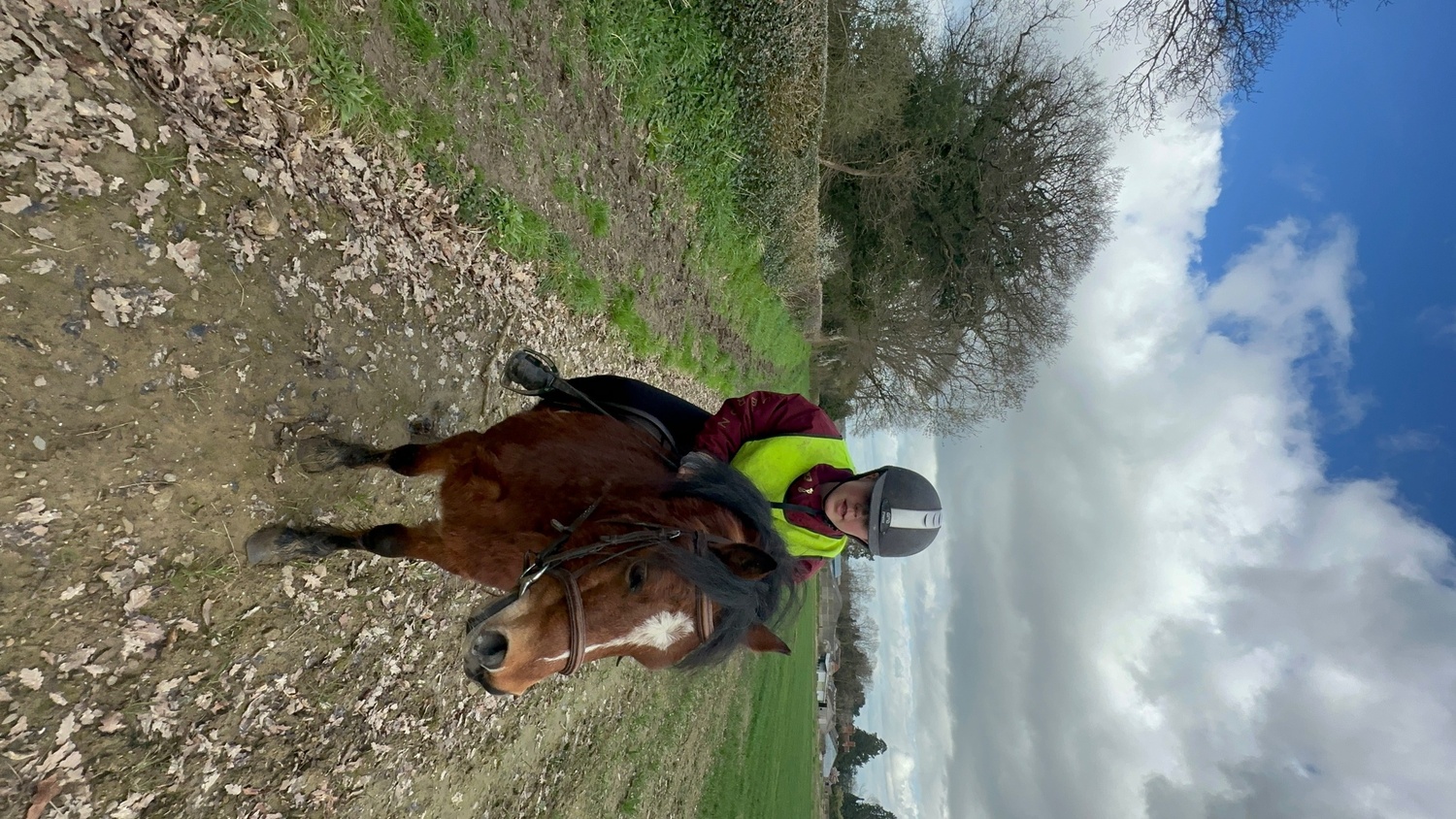 Lead Rein & First Ridden Ponies - "Rusty" Bay Gelding Lead Rein/First Ridden Pony