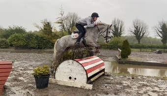 "" Mare Pony Club Pony