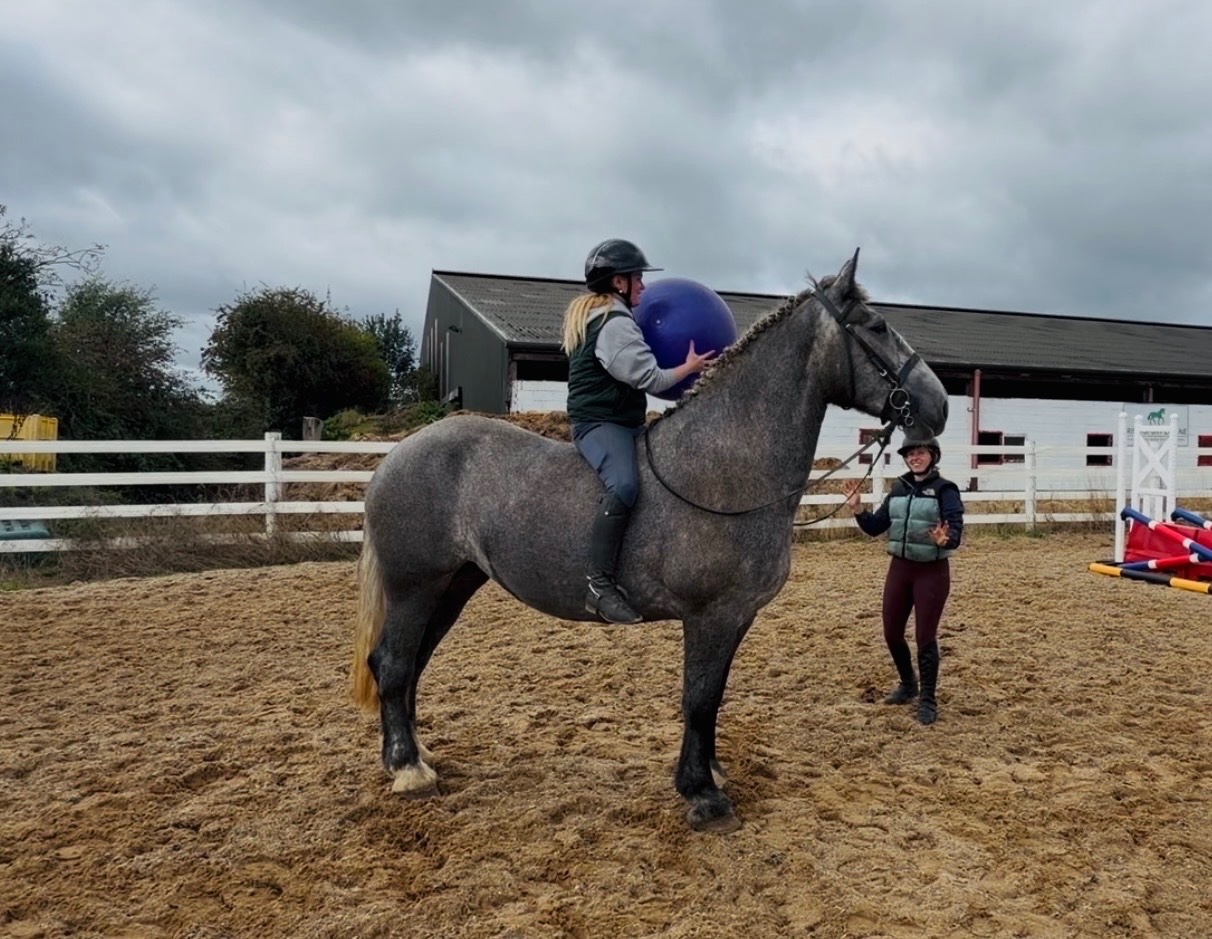 "Rosie: ultra quiet, steady, reliable, patient happy hacker" Iron Grey Mare Happy Hacker - Happy Hackers in 