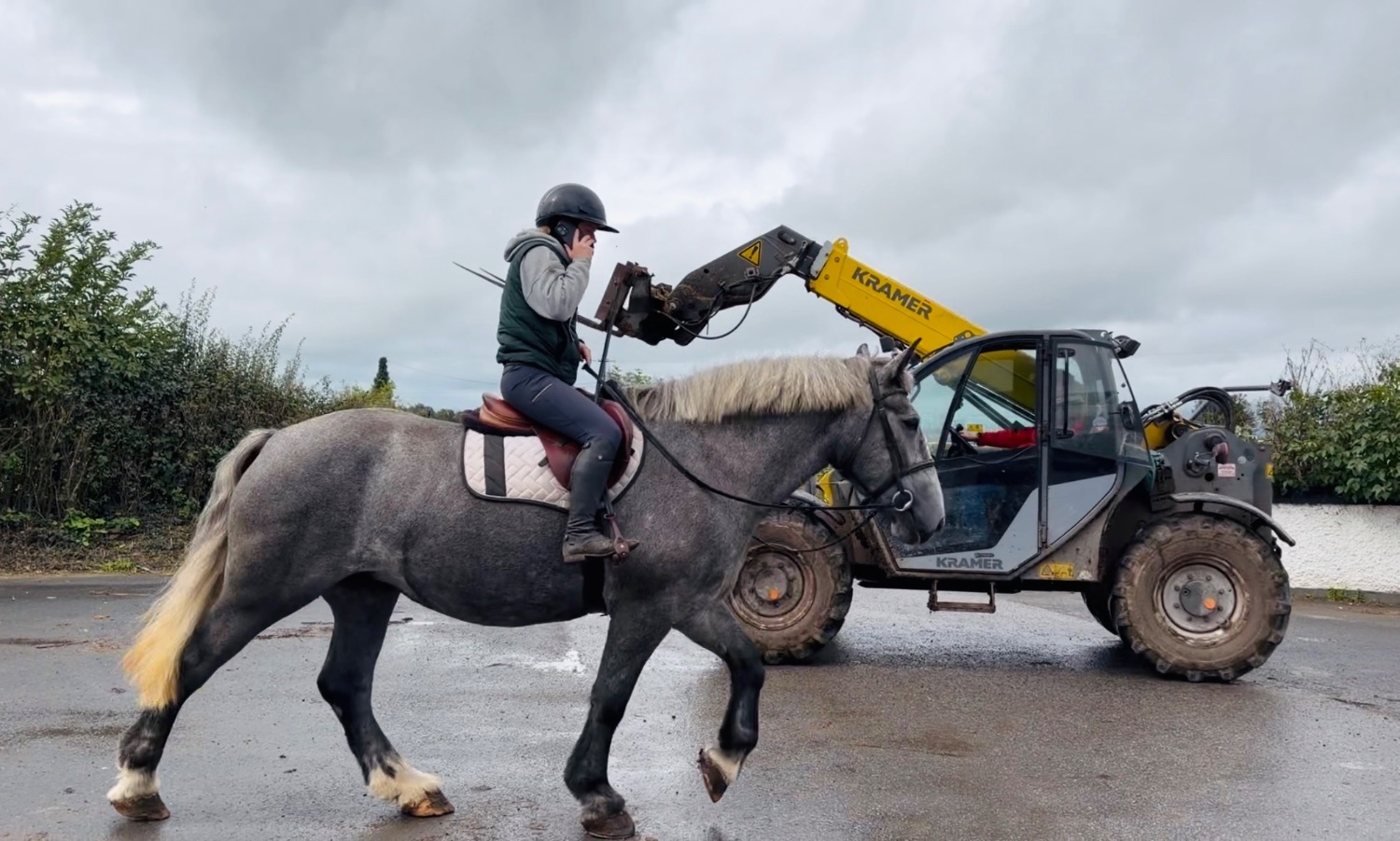 "Rosie: ultra quiet, steady, reliable, patient happy hacker" Iron Grey Mare Happy Hacker - Happy Hackers