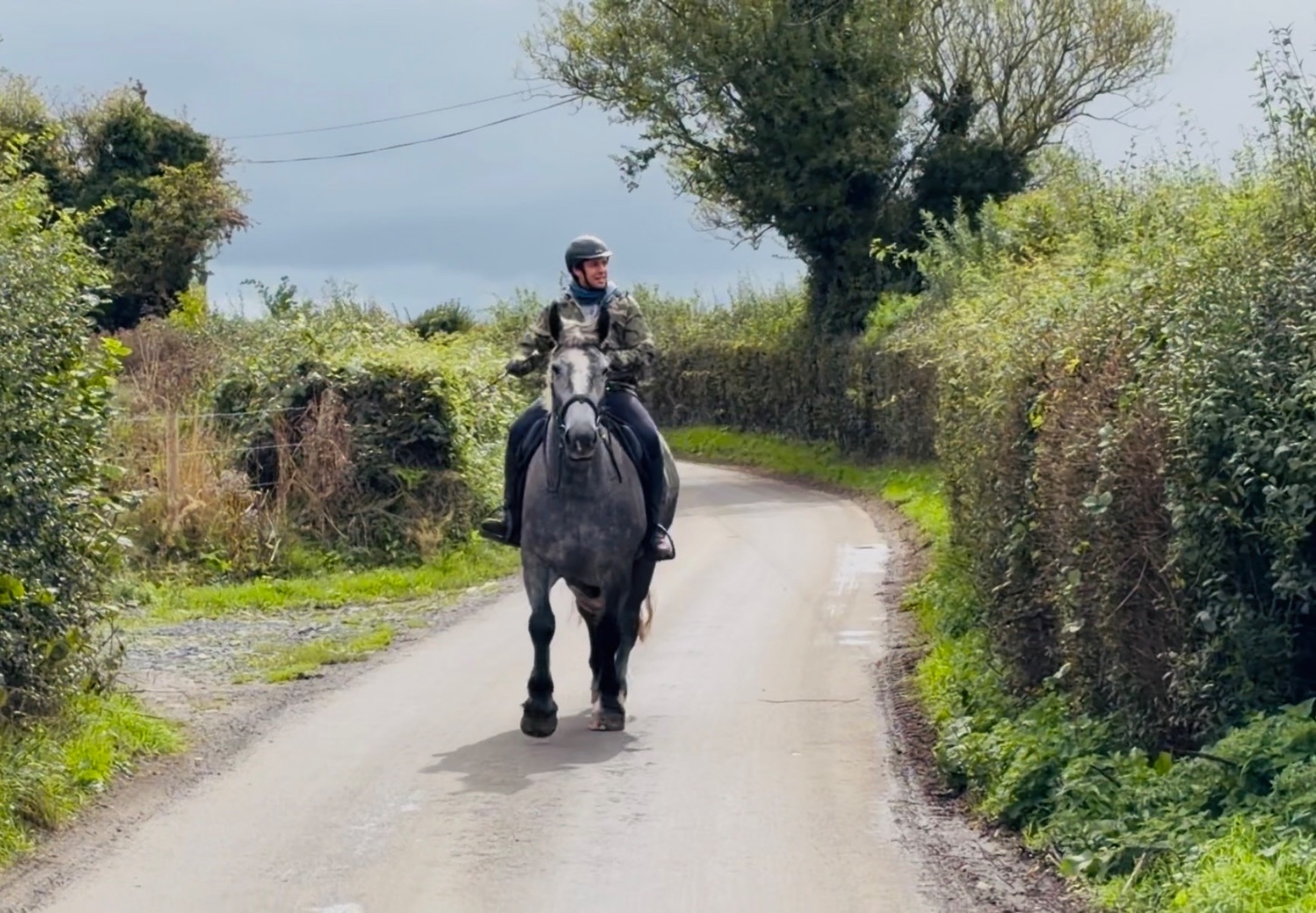 "Rosie: ultra quiet, steady, reliable, patient happy hacker" Iron Grey Mare Happy Hacker - 