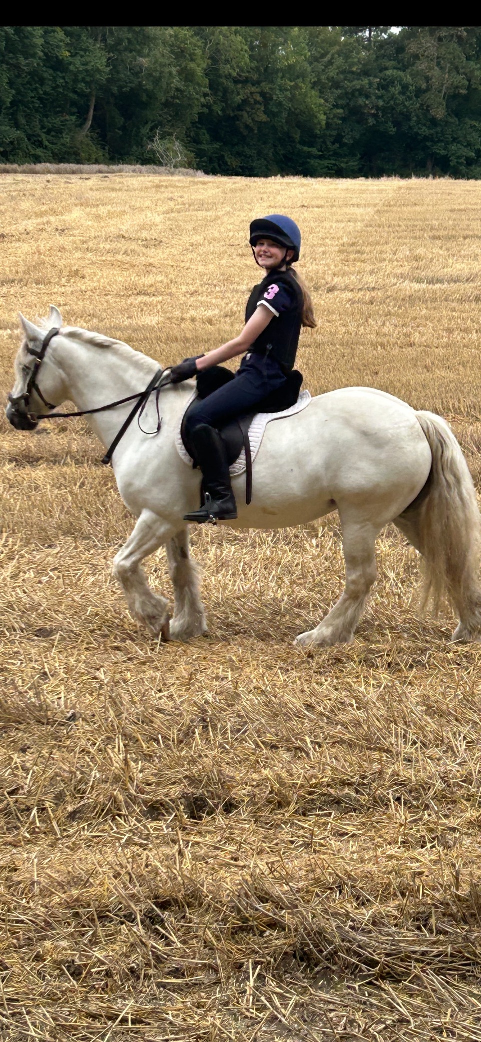 "Peggy" Grey Mare Happy Hacker - Happy Hackers 