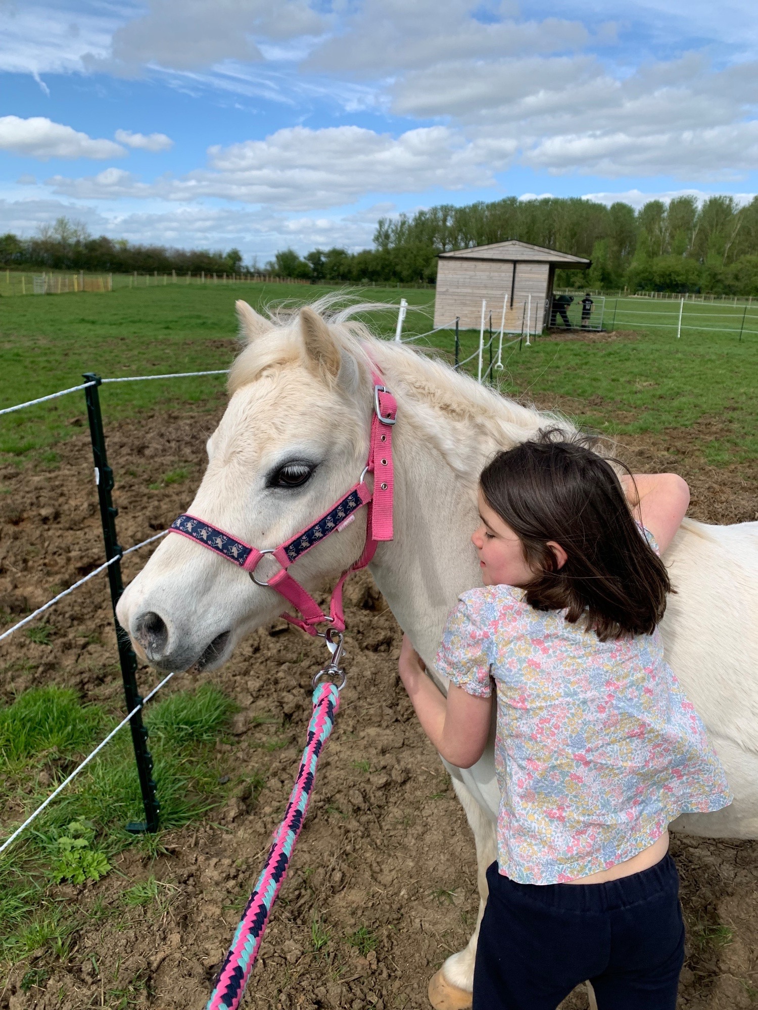 Lead Rein & First Ridden Ponies  - "Bambi" Grey Mare Lead Rein/First Ridden Pony
