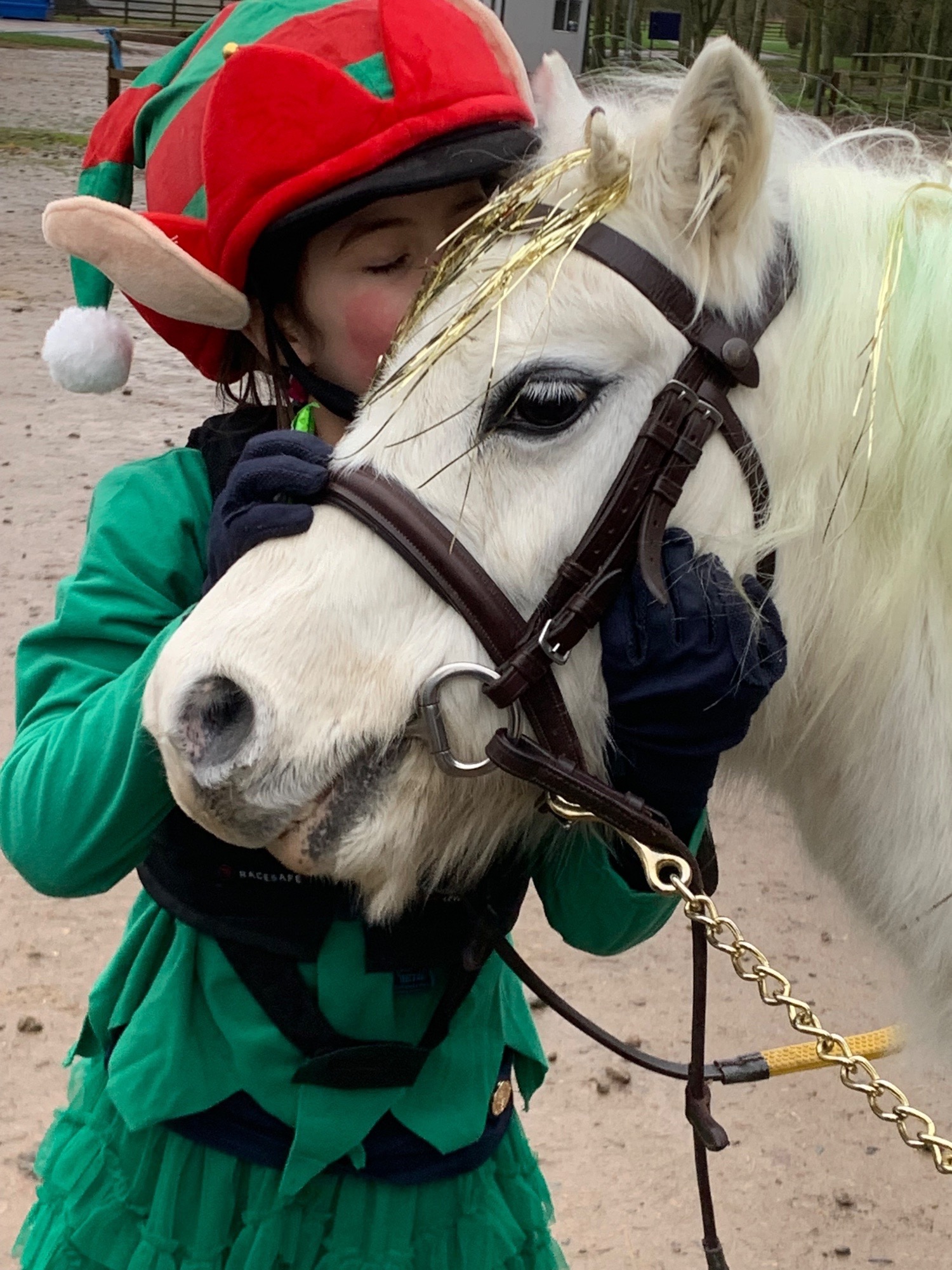"Bambi" Grey Mare Lead Rein/First Ridden Pony - Lead Rein & First Ridden Ponies 