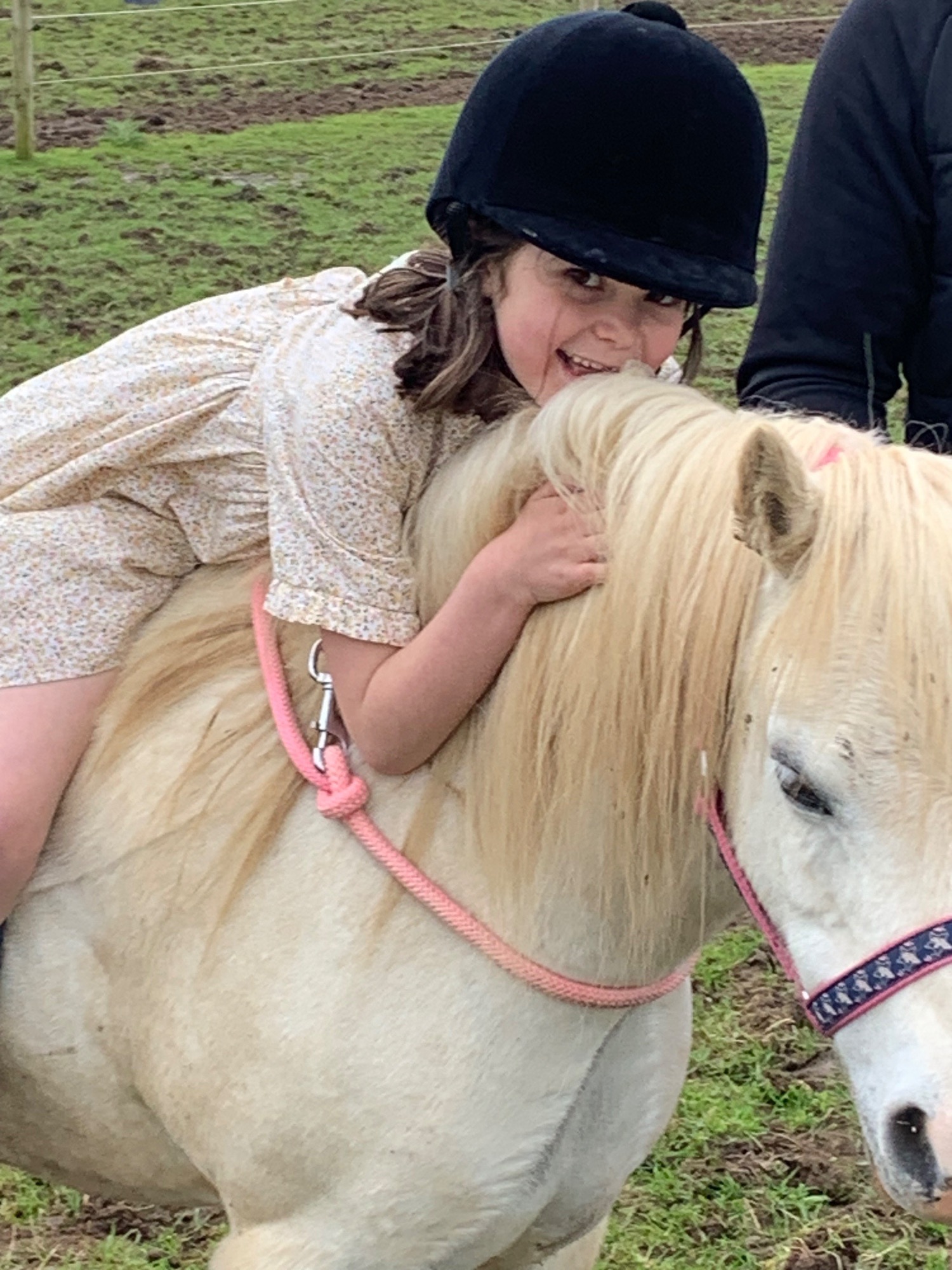 "Bambi" Grey Mare Lead Rein/First Ridden Pony - Lead Rein & First Ridden Ponies