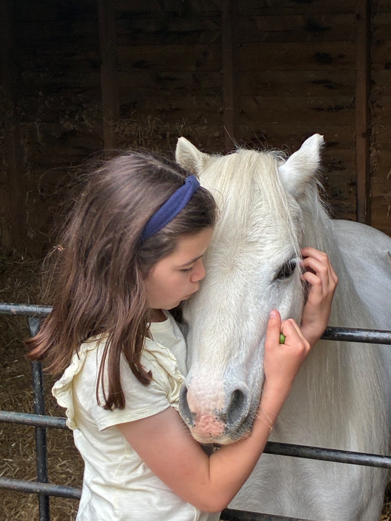 "Bambi" Grey Mare Lead Rein/First Ridden Pony