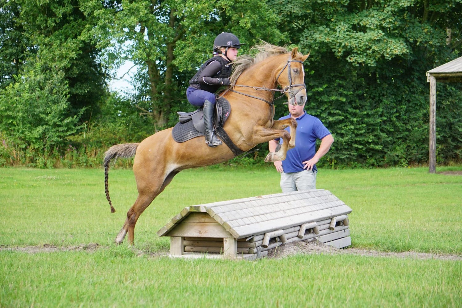  "Wishworthy Clover - Cora" Chestnut Mare All Rounder